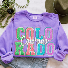 Load image into Gallery viewer, Faux Chenille State DTF Transfer