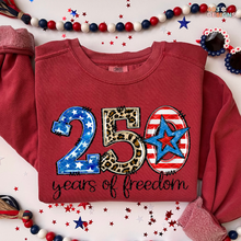 Load image into Gallery viewer, 250 Years Of Freedom DTF Transfer
