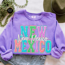 Load image into Gallery viewer, Faux Chenille State DTF Transfer