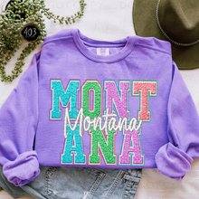 Load image into Gallery viewer, Faux Chenille State DTF Transfer