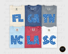 Load image into Gallery viewer, Star States DTF Transfer