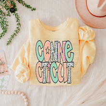 Load image into Gallery viewer, Bright Doodle State DTF Transfer