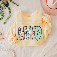 Load image into Gallery viewer, Bright Doodle State DTF Transfer