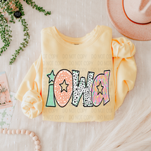 Load image into Gallery viewer, Bright Doodle State DTF Transfer