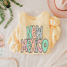 Load image into Gallery viewer, Bright Doodle State DTF Transfer