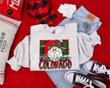Load image into Gallery viewer, Christmas States Leopard DTF Transfer