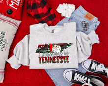 Load image into Gallery viewer, Christmas States Leopard DTF Transfer