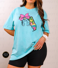 Load image into Gallery viewer, Florida DTF Transfer