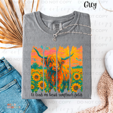 Load image into Gallery viewer, He Leads Me Sunflower Fields DTF Transfer