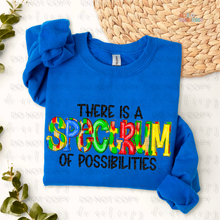 Load image into Gallery viewer, Spectrum Possibilities DTF Transfer