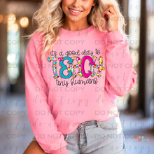 Load image into Gallery viewer, Teach Tiny Humans DTF Transfer