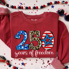 Load image into Gallery viewer, 250 Years Of Freedom DTF Transfer
