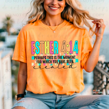 Load image into Gallery viewer, Esther 4:14 DTF Transfer
