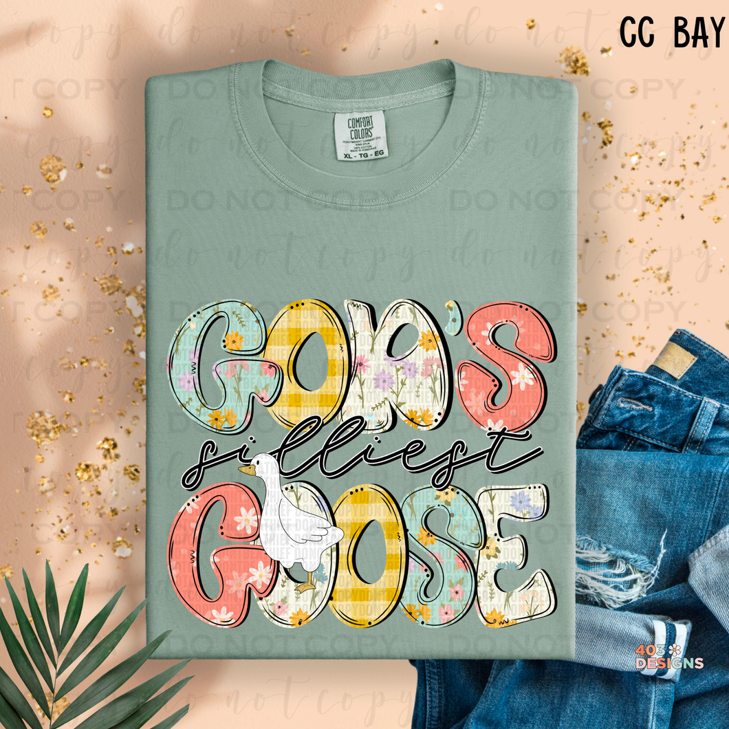 God's Silliest Goose DTF Transfer