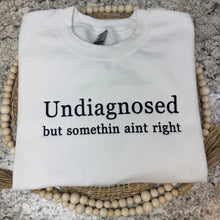 Load image into Gallery viewer, Undiagnosed but somethin&#39; ain&#39;t right- Embroidered Sweatshirt
