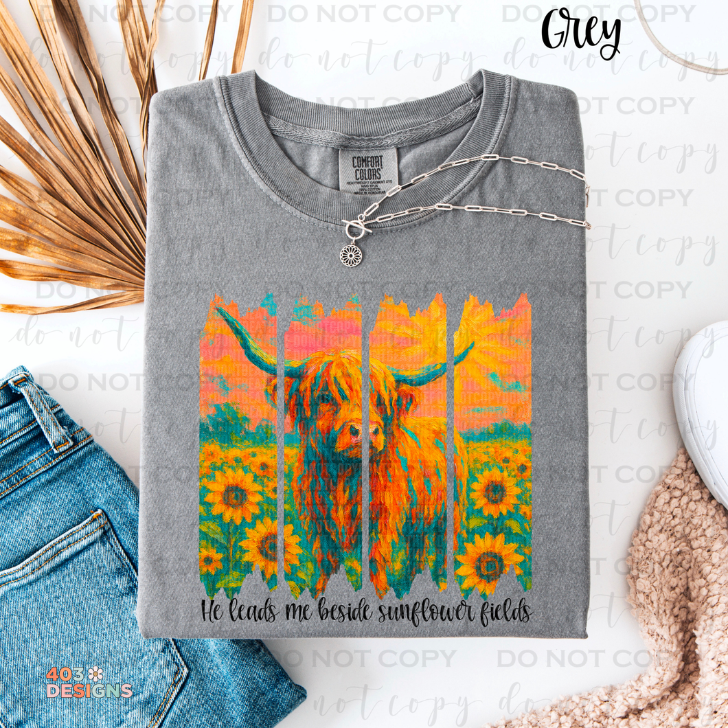 He Leads Me Sunflower Fields DTF Transfer