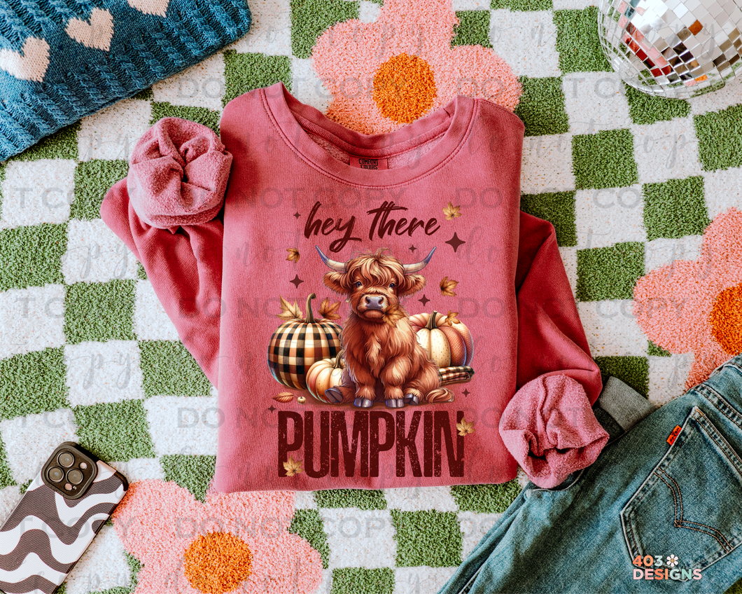 Hey There Pumpkin DTF Transfer