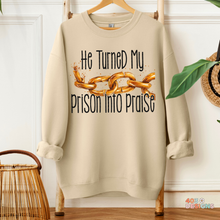 Load image into Gallery viewer, Prison Into Praise DTF Transfer
