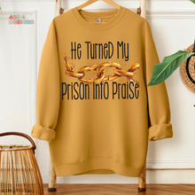 Load image into Gallery viewer, Prison Into Praise DTF Transfer
