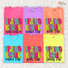 Load image into Gallery viewer, Spring Break Girls Trip DTF Transfer
