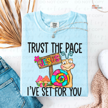 Load image into Gallery viewer, Trust The Pace DTF Transfer
